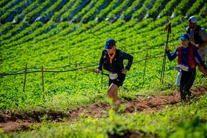 BIB: 
                            <button type="button" onclick="openModal(19161502)" class="btn btn-primary btn-sm float-right btn-popup" data-toggle="modal" data-target=".modal-high-quality">
                        <i class="fas fa-shopping-cart"></i> Add to Cart
                    </button>
                                            <button type="button" onclick="isThisMe(19161502, true)" class="btn btn-success btn-sm float-right btn-popup btn-isme hidden" data-toggle="tooltip" data-placement="bottom" title="นี่คือรูปของคุณใช่ไหม คลิกที่นี่เพื่อเอาเข้าอัลบั้ม">
                        <i class="fas fa-plus"></i> Add to album
                    </button>
                    <button type="button" onclick="isThisMe(19161502, false)" class="btn btn-warning btn-sm float-right btn-popup btn-isnotme hidden">
                        <i class="fas fa-ban"></i> Remove from album
                    </button>